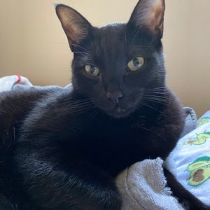 Meet your Posher, Jenny